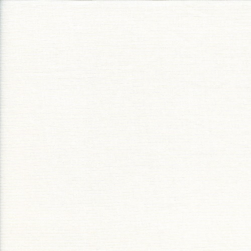 100% 聚酯纤维2x2罗纹