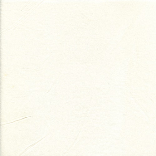 95%棉5%氨纶汗布